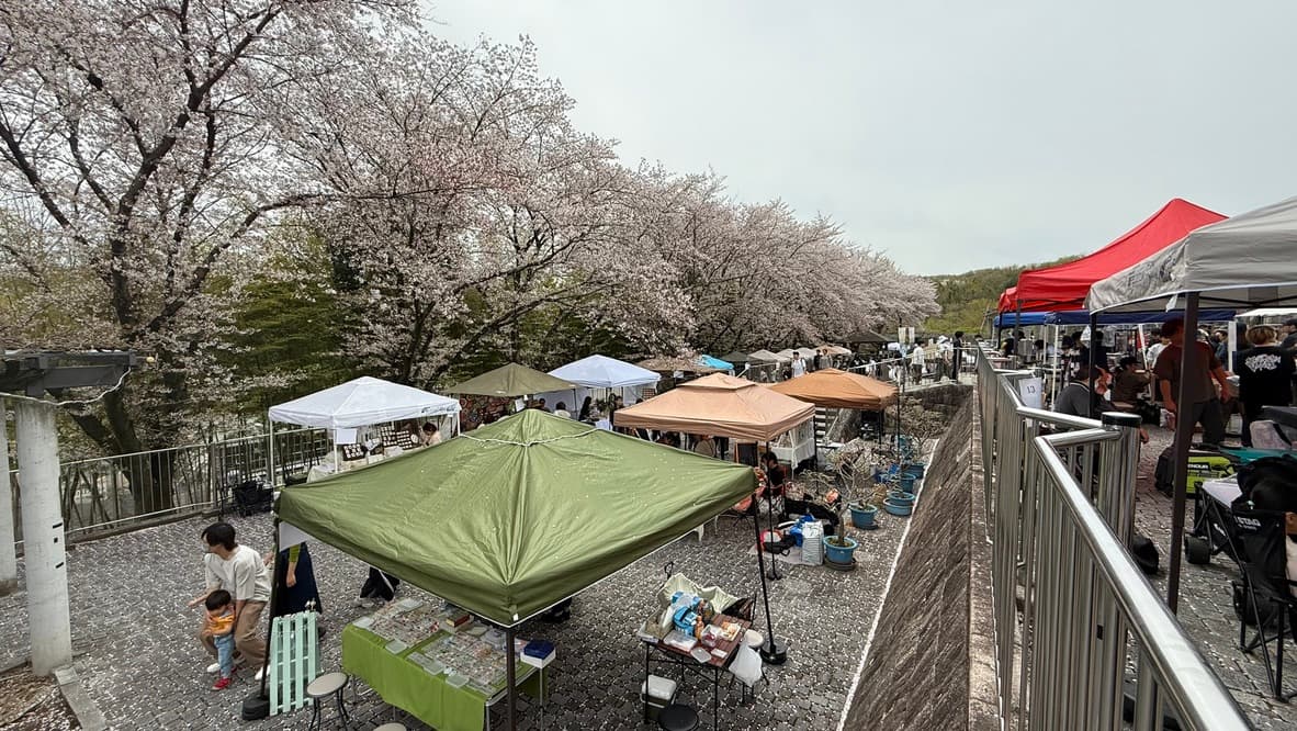 桜並木沿いに並ぶ出店テント