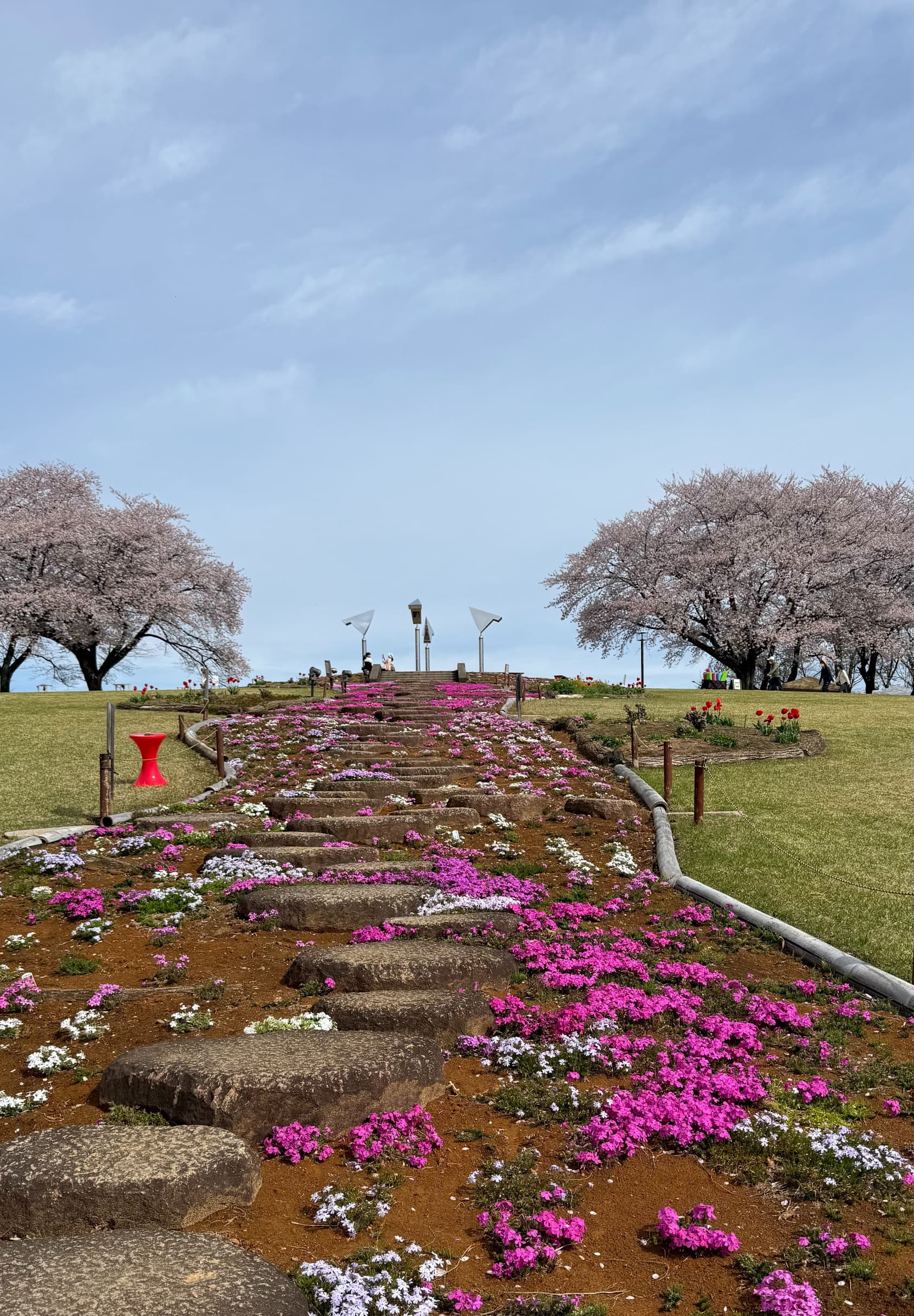 ふじの咲く丘 芝桜と桜の遊歩道